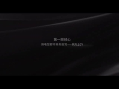 Het Blad 80V van de Geelyesdoorn