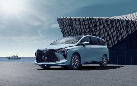 Pentium Nat 5 Seat High Performance Elektrische auto's 140 km / u Wit Zwart Kleur