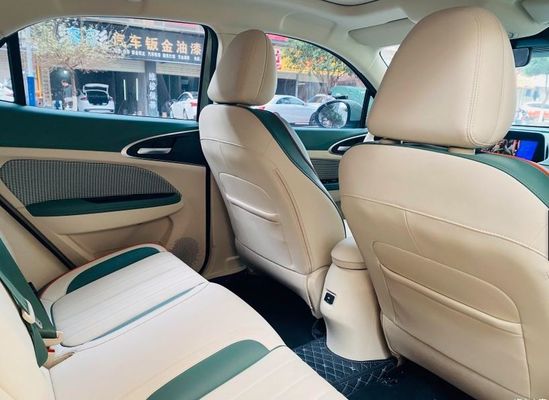 Goede Kat met 4 wielen 150km/h van SUV ORA van de lange afstandaandrijving de Elektrische voor Volwassenen