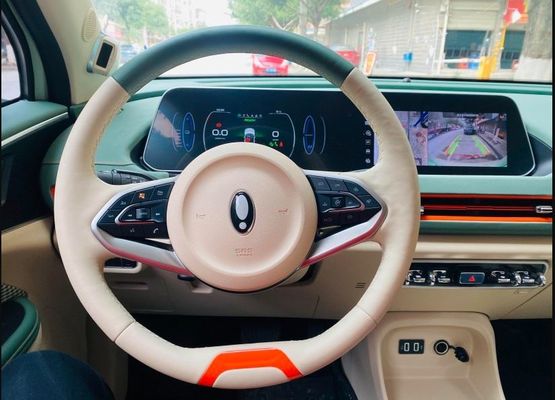 Goede Kat met 4 wielen 150km/h van SUV ORA van de lange afstandaandrijving de Elektrische voor Volwassenen