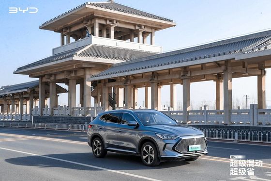 AWD Vriendschappelijke Elektrische Auto's van ECO