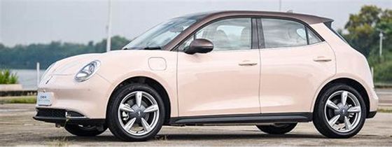 Vriendschappelijke Elektrische voertuigen 400KM ORA Goede Cat Pure Electric Cars van 150km/h ECO