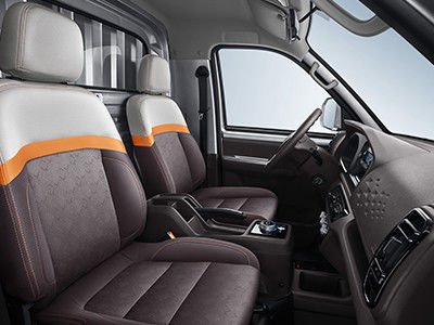 Mini4x4 Pick-up 255km CLTC van Ruichiec71 Elektrische Bedrijfsvoertuigen