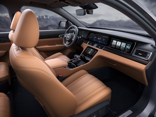 220km/h stop in Hybride SUV 700Km Waaier Vier de Schermen Zes de Elektrische Auto van Seater