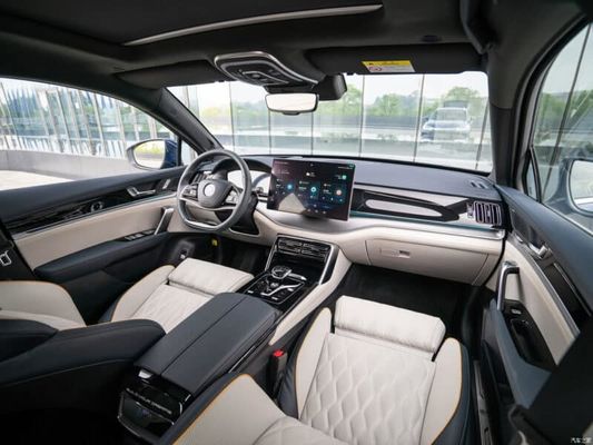 730Km Waaier Zuivere Elektrische Auto's