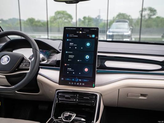 730Km Waaier Zuivere Elektrische Auto's