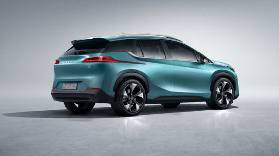 Linkeraion V Elektrische Auto 500km Waaier 5 de Auto van Seater SUV voor Volwassenentiener