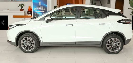 400km/550km de Compacte Elektrische SUV Geely Zuivere EV Voertuigen van de Meetkundec Bosbes