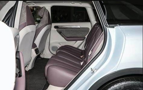 Automobielhoge snelheidselektrische voertuigen SUV New Energy Lingpao C11 voor Volwassenen