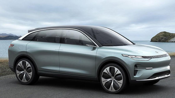 Automobielhoge snelheidselektrische voertuigen SUV New Energy Lingpao C11 voor Volwassenen