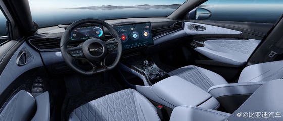 BYD-Elektrische Auto van de Verbindings de Dubbele Motor