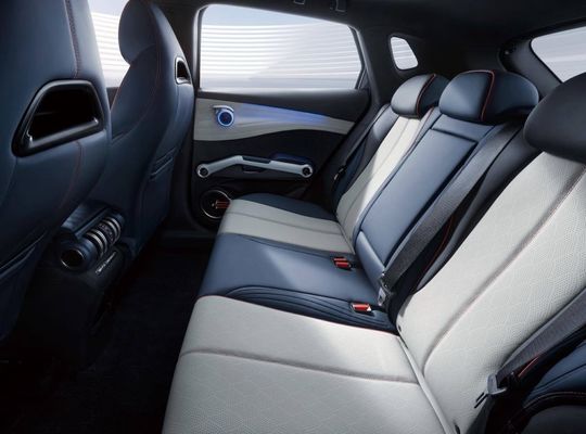 510km Zuivere Elektrische Auto's