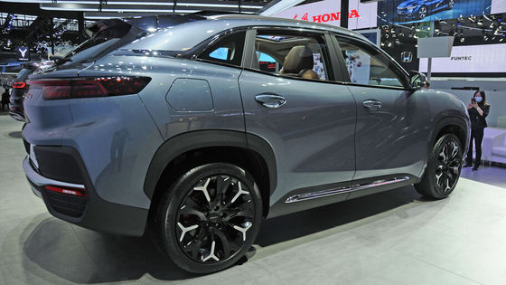 Cheryqq Ant Mini SUV Elektrische Auto 301Km Zuivere EV-Hoge snelheid 100km/h