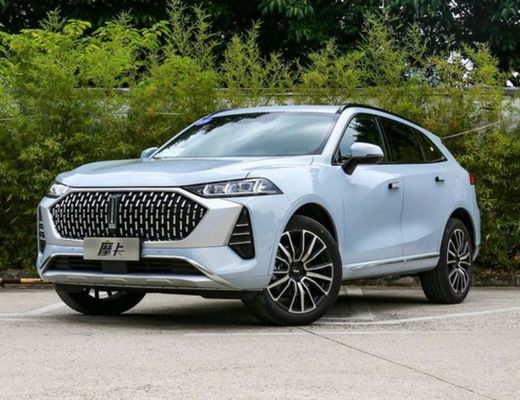 Elektrisch de Auto157kw Max Power EV Elektrisch voertuig van GreatWallwey Moka PHEV