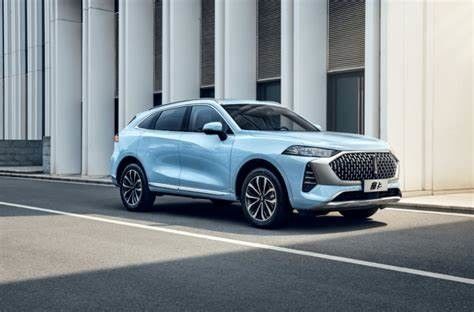 Elektrisch de Auto157kw Max Power EV Elektrisch voertuig van GreatWallwey Moka PHEV