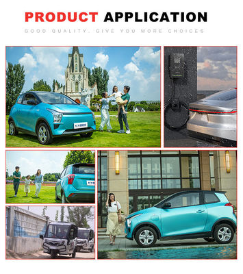 11KW het Materiaal50hz Draagbare AC EV Lader IP65 van de elektrisch voertuiglevering