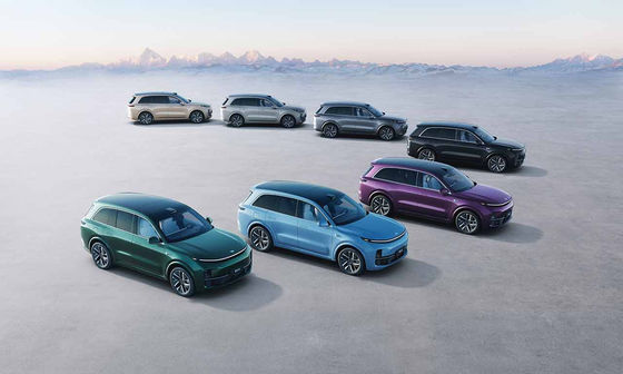 42.8kWh batterij 6 Seat Elektrisch SUV