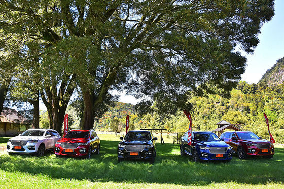 110km Stop met 4 wielen van Aandrijvings de Elektrische Auto's GWM Haval H6 DHT PHEV in Hybride Voertuigen