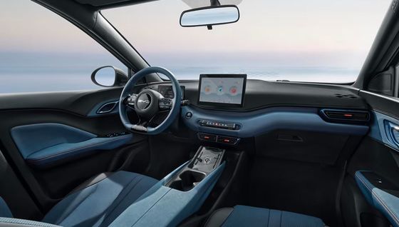 Hoge prestaties in 2023 Nieuwe Byd Seagull EV Volledig afgesloten 4 wielen elektrische auto