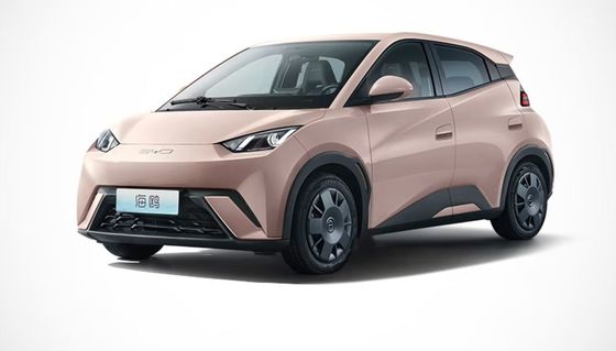 Hoge prestaties in 2023 Nieuwe Byd Seagull EV Volledig afgesloten 4 wielen elektrische auto