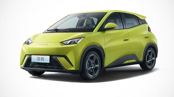 Hoge prestaties in 2023 Nieuwe Byd Seagull EV Volledig afgesloten 4 wielen elektrische auto