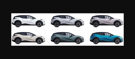 Pure Electric Zeekr X Me Electric Intelligent Pure Electric Cars 560 km bereik