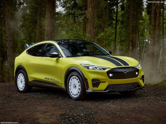 Unieke Rally Suspension, Family Car Out Racing Feeling bij Ford Mustang Mach-E Rally (2024) 480 pk