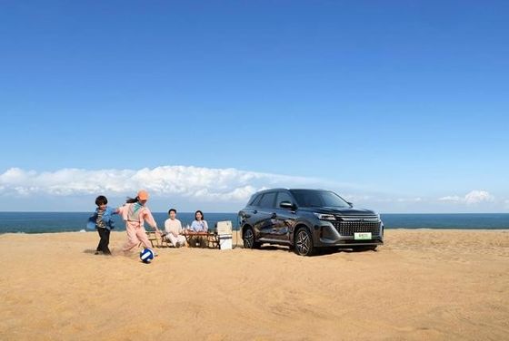 Nieuwste PHEV SERES High Performance Medium Size 7 Seat Plug In Hybrid SUV SERES LANDIAN E5