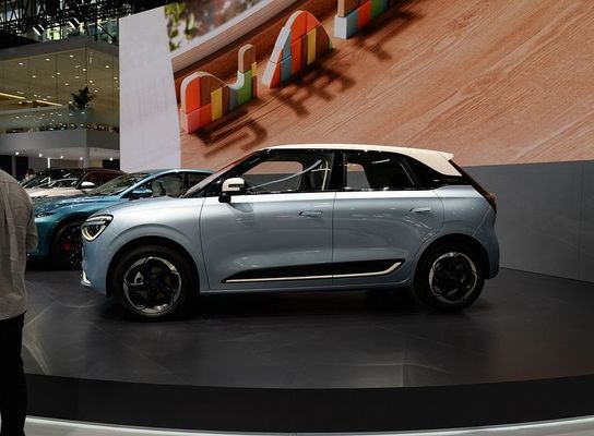 Pure Electric Vehicle Dongfeng Nano 01 2024 330Liter Met maximale snelheid 140km/h China New Energy Electric Car