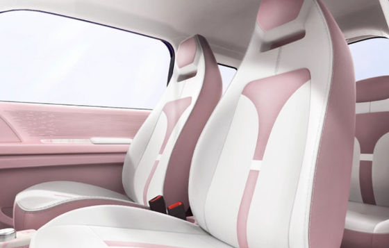 Multi Color Options Mini Ev Cars Zhido Rainbow met CLTP 205km 17.13/17.3kwh Batterij Voor 20&30kw Power